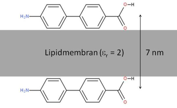 Figur 3a visar hur två ABK-molekyler adsorberat till varsin sida av ett lipid-membran. Figur 3a Figur 3b. b) Beräkna energin för växelverkan mellan de två ABK-molekylerna genom membranet.