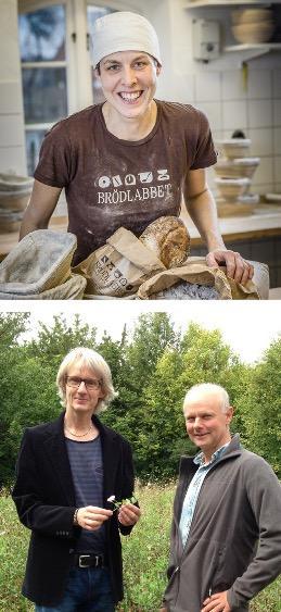 Några aktuella projekt CAROLINE LINDÖ, forskare, bagare och odlare på Källunda Gård Projekt: Kultursorter bakningsegenskaper & smak Forskarna PÅL-AXEL