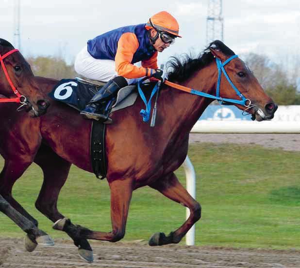 DERBYBANAN JÄGERSRO Dorcia bjuder alla damer på fri entré och ett glas bubbel! NR MÅNDAG AUGUSTI 07 KL 7.