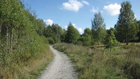 22. ÖSTRA ÄLVSJÖSKOGE Älvsjö idustriområde /34 ha ATURORÅDE FRILUFTSORÅDE Kosumetväge Grossistväge Älvsjöskoge som helhet är viktig för de ekologiska sambade i södra Stockholm och e resurs för ivåara