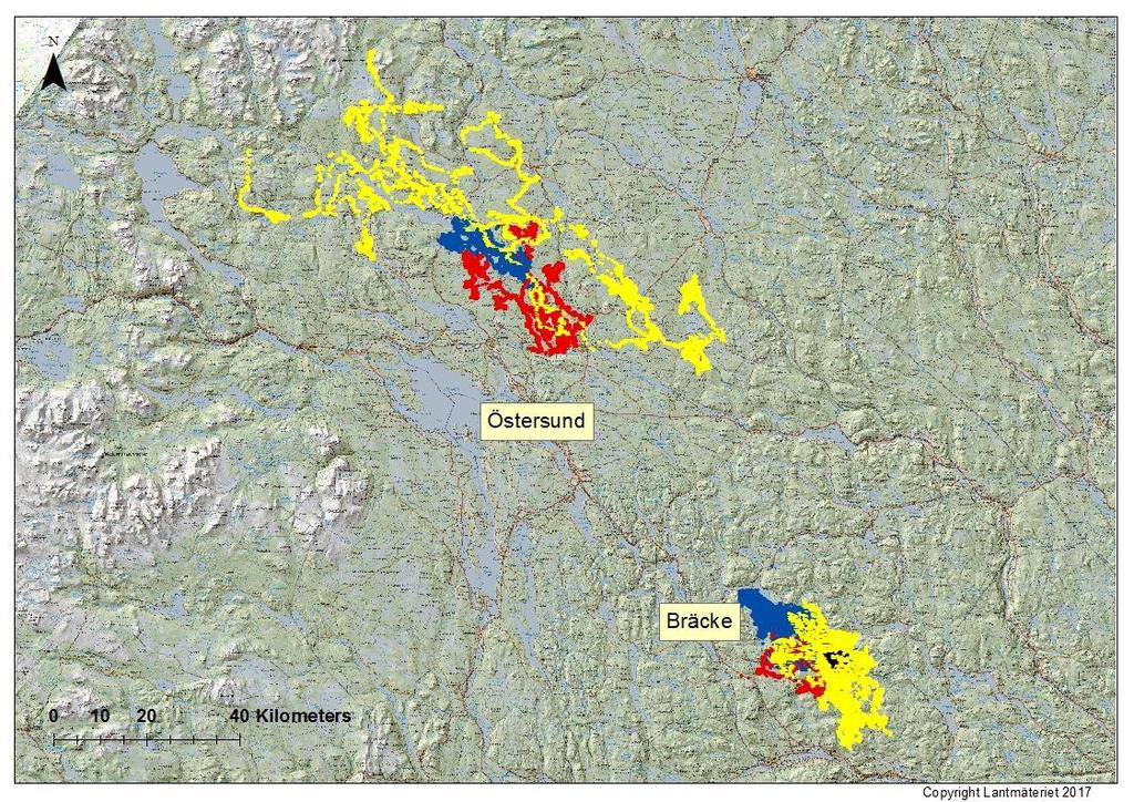 2016. Alla andra halsband vi hade tappat kontakt med under perioden på grund av batterislut samlades in senast under sommar /höstsamling 2016. Figur 1.