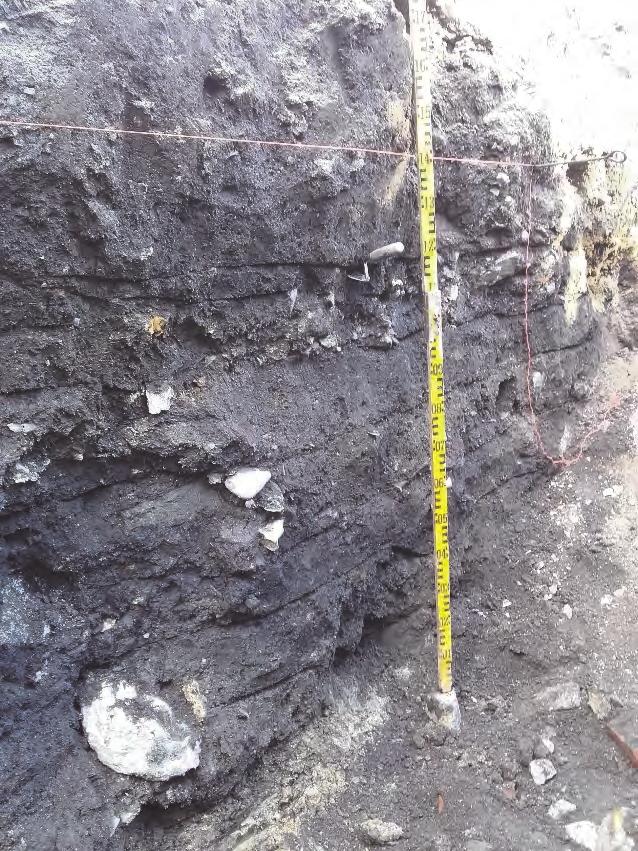 Lager 15 tolkas vara ett lergolv som ses mellan 8,4 och 11 meter. Där ses också några stenar som kan vara syllstenar. Lager 4 avsattes under det att huset var i funktion (figur 6).