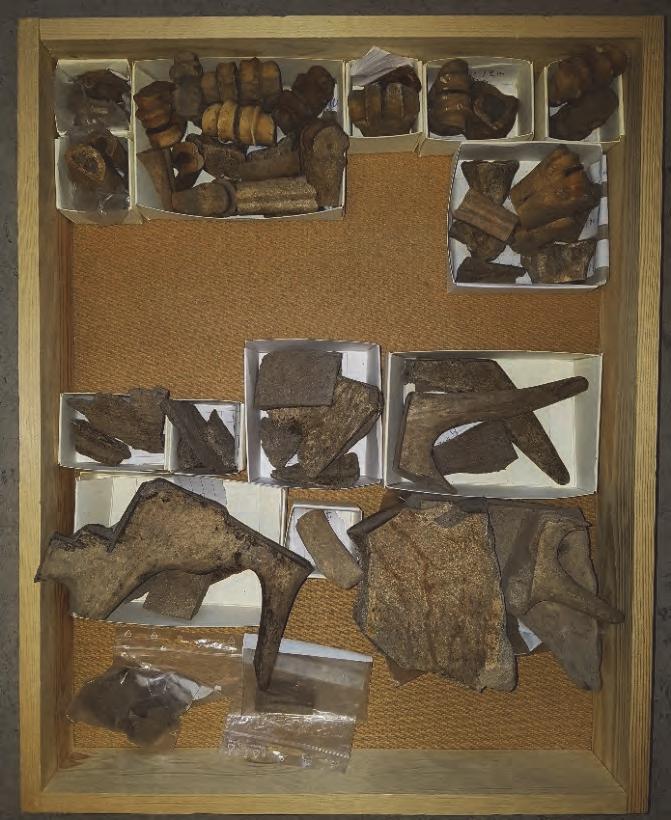 Fynd Ett nålhus (F2, figur 15a) och ett beslag i brons (F3, figur 15b) påträffades. En fyndlista finns i bilaga 1.