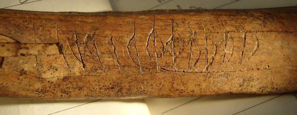 Ett runben från kvarteret Humlegården 12 4 Med utgångspunkt från benets bredare ände kan inskriften återges på följande sätt (fig. 2): þþþþ(þþ(þþþþþ a!