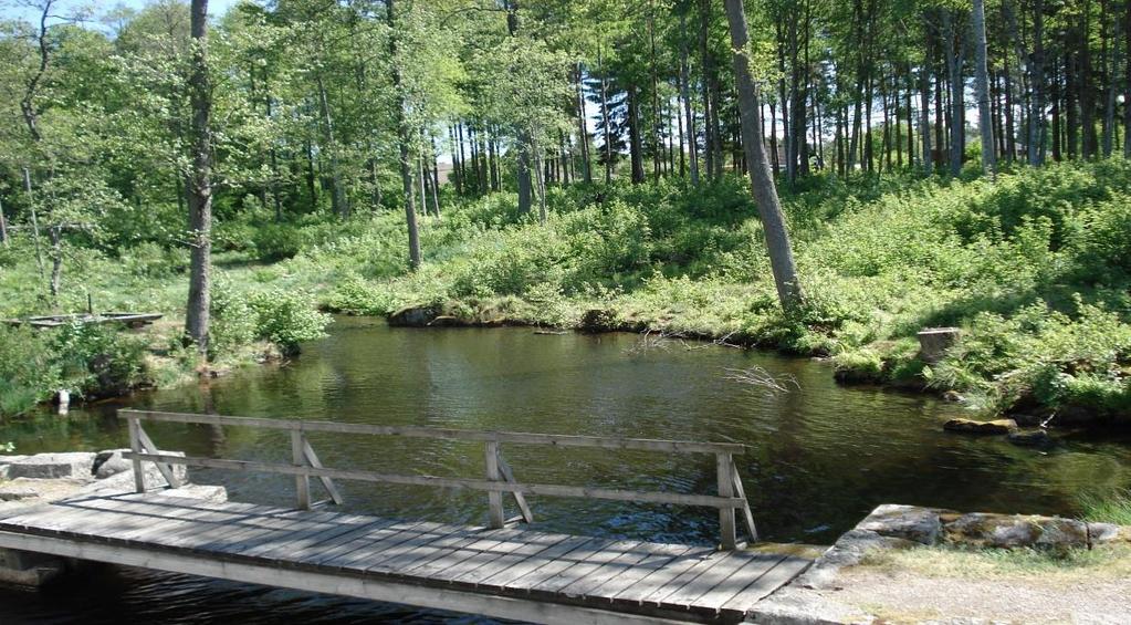 Stöd till anhöriga