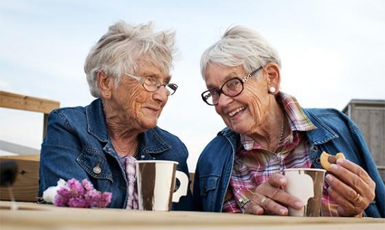 Träffpunkter Träffpunkterna erbjuder social samvaro och deltagande i aktiviteter för alla kommuninvånare över 65 år.