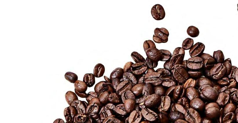 ALLA MEDARBETARE INOM företaget, oavsett position, har en grundläggande baristautbildning.