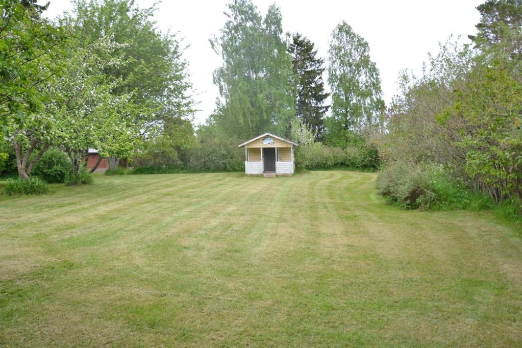 BILD Stor gräsmatta