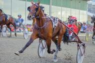Lärlingarna inom V64 I dag körs också Wången Cup, ett lärlingslopp öppet också för ungdomar, inom V64.