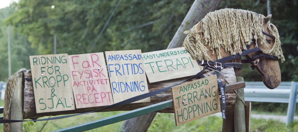 Hästens rörelser och ridningens terapeutiska egenskaper är komplexa och berör många aspekter av en persons förmågor.