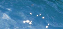 Färgerna För D-Line finns granicite, den nya ytan från Riviera Pool. En mycket naturlig bild lik äkta granitsten. Idealisk till moderna naturstensplattor i ljust eller mörkt grått.