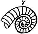 2. Släktet Megistaspis, som inte kunde utveckla tillräckligt långt huvud, "försvinner" i undre expansustid. Megistaspis nericus och elongata är de sista representanterna för detta släkte. * 3.