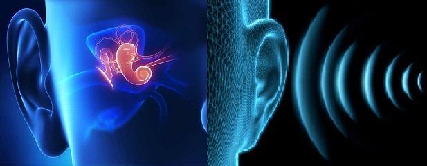 INSTITUTIONEN FÖR NEUROVETENSKAP & FYSIOLOGI ENHETEN FÖR AUDIOLOGI ENSIDIG SENSORINEURAL
