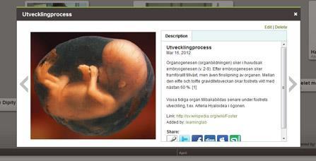 Pedagogiska möjligheter En tidslinje består av händelser som i sin tur kan innehålla en text, bild, film och länk.