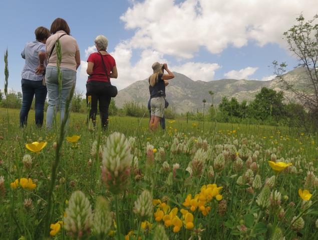 I fjol var vi på Lesbos, nu var målet Mostar i såväl landet som regionen Bosnien Herzegovia.