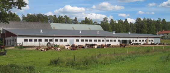 Den här lösningen är rationell och smidig och fungerar utmärkt fortsätter Fredrik. I kraftfoderstationerna ges kornkross och i VMS både kornkross och koncentrat.