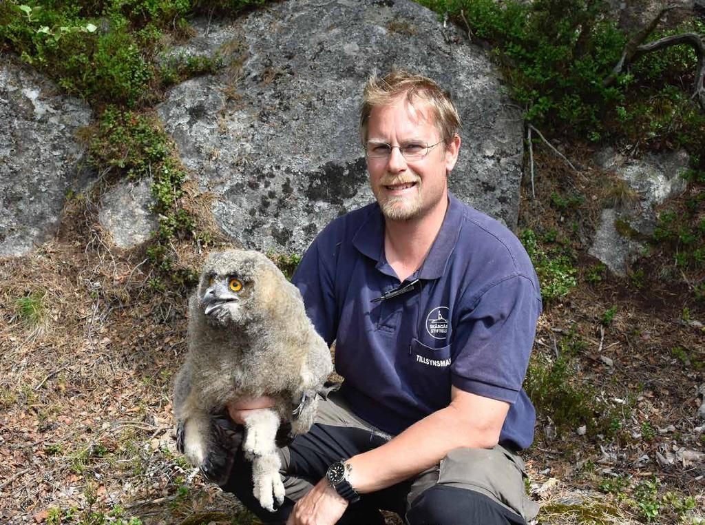 SAMMANFATTNING LEVANDE SKÄRGÅRDSNATUR Foto Anna Ehn.