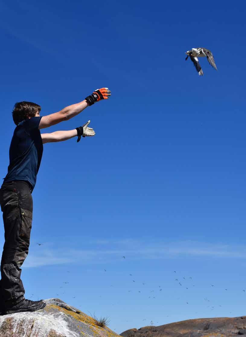 Foto Karin Strandfager.