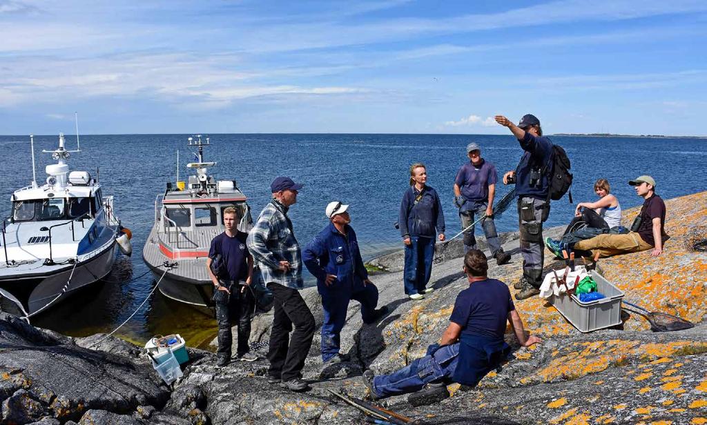 SAMMANFATTNING LEVANDE SKÄRGÅRDSNATUR mot mink. I slutet av mars gjordes en lyckad minkjakt med både hundar och jägare i Långviksskärs skärgård och Möjareservatet.