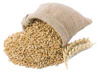 Malt» HEL MALT I 25 KG SÄCK 25100 Pilsnermalt CM Ebc 2,5-3,5 25102 Ekologisk pilsnermalt VM Ebc 3-5 25106 Enzymmalt VM 25110 Pale ale malt CM Ebc 7-9 25112 Ekologisk pale ale malt VM Ebc 4-6 25114