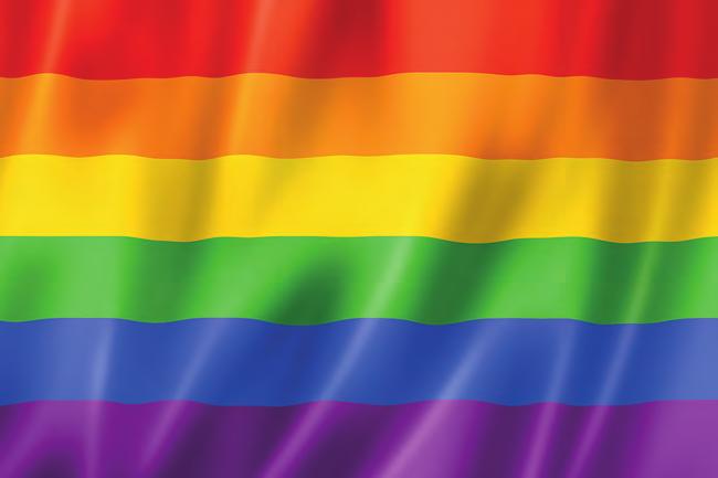 پرچم رنگین کمان یا پراید )سمبول جنبش دگرباشان جنسی( عکس: Colourbox معیارهایی قوی وجود دارد که زنان و مردان باید با یکدیگر تفاوت داشته باشند و نقش های متفاوتی نیز به عهده بگیرند.