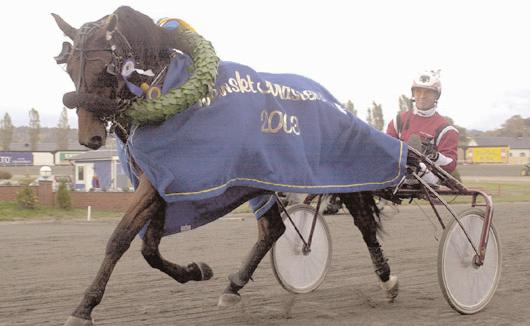 Grupplöpningar Derbystoet (Grupp II, Nat.) Jägersro 7 september. Lätt bana. 1.000.000 kr. 2140 m. 1 Je T aime Dream 14,5 500.000 31 Kontio Jorma 2 Countess Tomali 14,6 250.