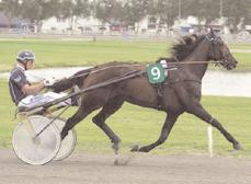 503 Smashing Victory e. Smasher 8 1.605.000 Malabar Circle Ås e. Malabar Man 2 1.586.660 Royal e. Copiad 2 945.573 Golden Photo F.H. (DK) e. S.J. s Photo 10 941.016 Favorit e. Sugarcane Hanover 6 922.