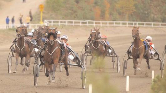 1 Je T aime Dream 14,5 1.000.000 22 Johansson Stig H 2 Princess Ride 14,6 425.000 76 Svanstedt Åke 3 Dancing Cher 14,6 212.500 273 Goop Olle 4 Rae Boko 14,7 102.