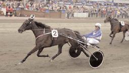 125 29 Svanstedt Åke 3 Promise Ås 15,4 227.063 949 Takter Johnny 4 Super Queen 15,6 108.990 473 Kihlström Örjan 5 Je T aime Dream 15,6 72.660 50 Johansson Stig H 6 Princess Ride 15,8 45.