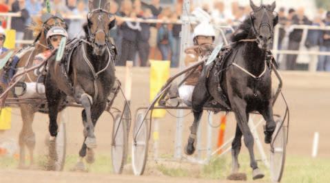 Insatslopp 3-åringar E3 - Öppen klass, final 1 (Grupp I, Int.) Gävle 28 juni. Lätt bana. 1.600.000 kr. 2140 m. 1 Face of Speed 14,4 800.000 132 Kihlström Örjan 2 Dexter Tilly 14,4 400.