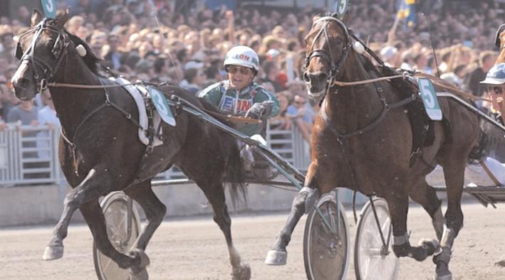 Gidde Palema 11,2g 55 Svanstedt Åke Fräkke Frederik* (DK) d7g 576 Kjaersgaard Preben Freiherr As* (DE) dug 2354 Panschow Thomas Segrare: hingst 5 år e. Zoot Suit-A Gift From Heaven. Ägare: Stall H.G.S.. Uppfödare: Menhammar Stuteri AB, Ekerö.