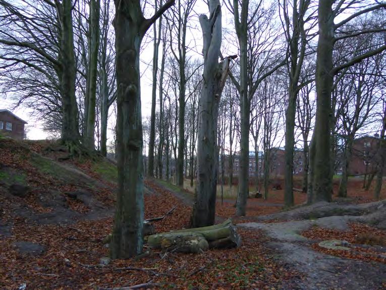 Objekt 4. Lövskog Skogsområde med varierande karaktär. Sydöstra delen är kuperad och här finns en bmx-bana vars användning skapar slitage och blottor i den mycket sandiga marken.