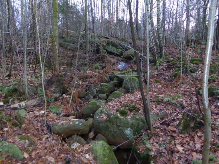 Västlig hakmossa Rhytidiadelphus loreus signalart (dock lägre signalvärde i sydvästra Sverige) Krusig ulota Ulota crispa signalart (dock lägre signalvärde i sydvästra Sverige) Skogsalm Ulmus glabra