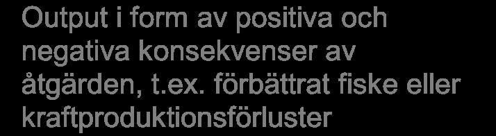Input i form av insats av resurser (produktionsfaktorer) Värdering av input i termer av kostnaden för resursåtgång Miljöåtgärd Output i form av positiva och negativa konsekvenser av åtgärden, t.ex.