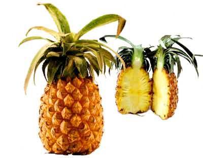 Ananasen är en av de få frukter som innehåller ett enzym som kan spjälka protein vilket ska skötas naturligt i kroppen av enzymer som produceras av körtlarna i mag- och tarmkanalen.