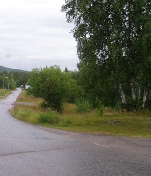 Tjåmotis är ursprungligen ett sameviste. På 1600-talet kom den förste nybyggaren hit. De s.k. lapska bodarna var förråd för samebyar som hade sin flyttled förbi här.