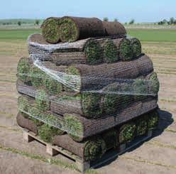 G Ä GÄMAA PÅ U vefarm Vi kan förmodligen leverera färdig gräsmatta tidigast på våren och längst ut på hösten!