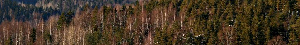 I denna utredning har man koncentrerat sig på att utreda det ekologiska nätverket i landskapet Nyland samt kartlagt de vidsträcka, sammanhängande skogsområden som utgör dess kärnområden.