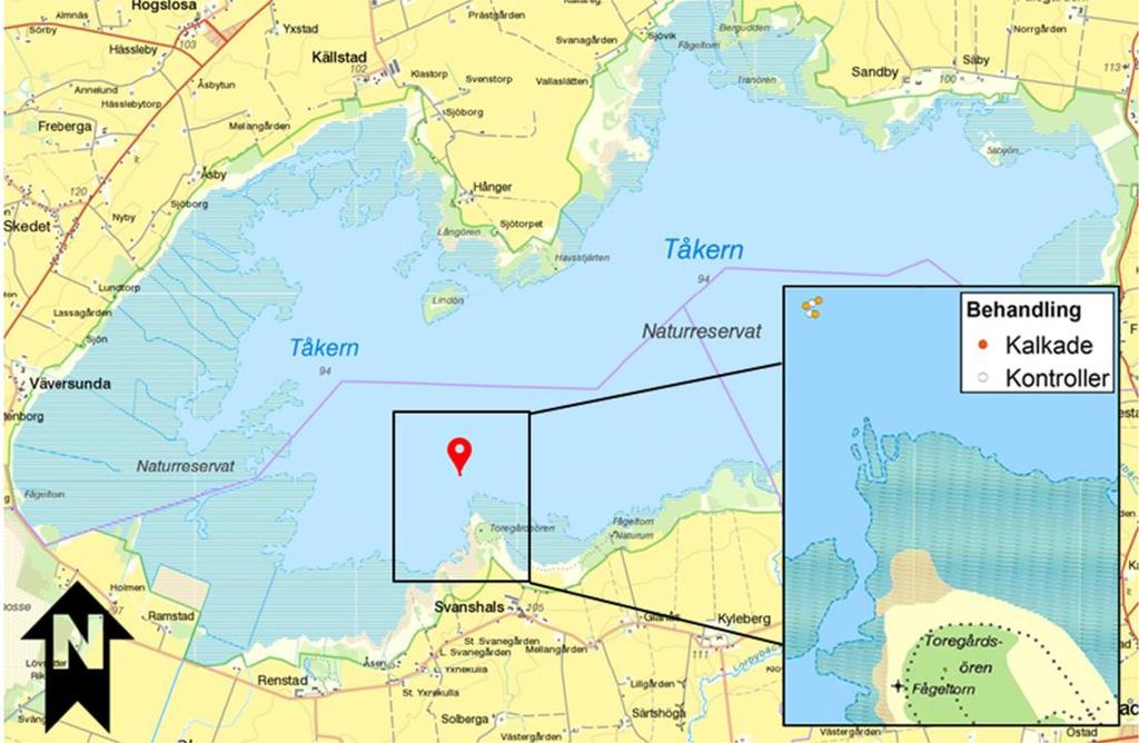 3 Material & metoder 3.1 Platsbeskrivning Sjön Tåkern ligger i södra Sverige och är en grund, eutrof sjö, med en area på 44 km 2, och ett medeldjup på ca.0,8 m (Hargeby et al. 2004).
