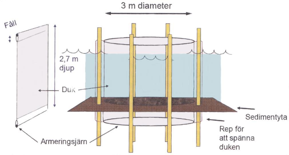 Figur 2. Mesokosmernas konstruktion. (Illustration av Anders Hargeby) 3.