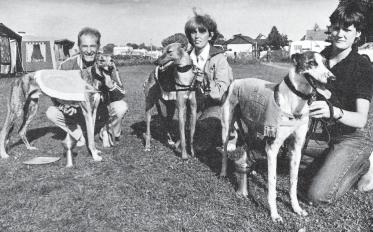 Nic O Lina segrade i Breeders Oaks till glädje för Mats Wicander, SHS Sommartävlingar 1982.