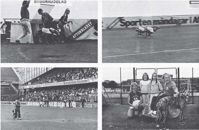 Ett bildsvep från Råsunda Fotbollsstadion 1983. SHS hade uppvisningslopp i samarbete med AIK. Längst ner till höger dagens segrare Laras Theme med Gunnar Årling.