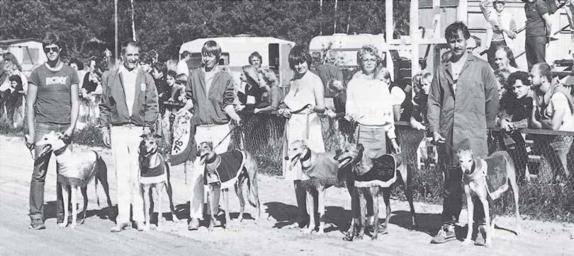 I samband med derbyfinalen 1983 i augusti, fick vi se några tidigare vinnare av derbyt. Fr v Dingons Clashman, Bob Chester, Dromlara Son, GW Jätten, Hunday Cacoon och Fritte (11 år).
