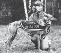 rade på lösningar, som innebar att man lade över allt detta på data. Under sista månaden av 1983 dök det upp en chans till lösning av problemet.
