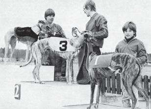 Till hedersmedlemmar utsågs Märta Söderberg och Harald Grannving. SHCF 1981: Börjesson avgick Sverre Estréus ny ordf Årets kongress hölls 14 15 mars i Jön- köping.