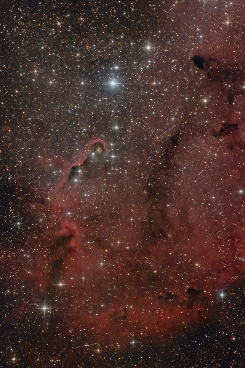 12 IC1396 ELEFANTSNABELNEBULOSAN.