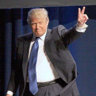 säger att "President Trump vore en mardröm". DN:s Peter Wolodarski skriver: " Mannen på gatan i Berlin 1932 hade känt igen sig.