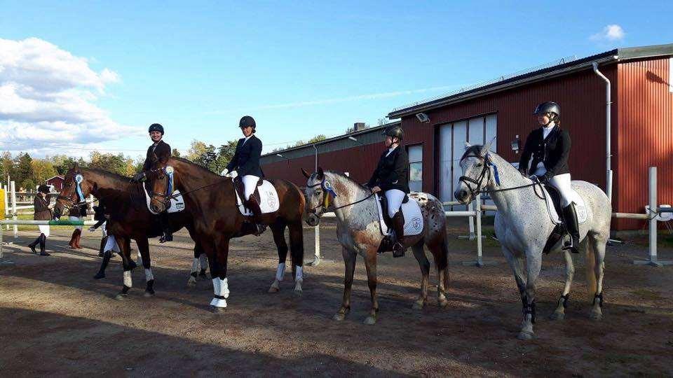 Omgång 1 anordnades av Sportriders på Jälla. Här kom laget på 6:e plats. Omgång 2 avgjordes på Sigtunabygdens anläggning. Här vann UDS. Omgång 3 och Finalen reds i Heby.