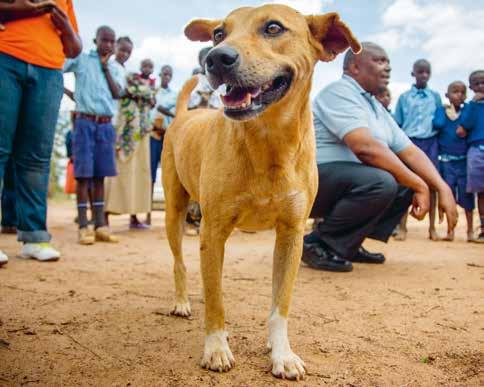 Hon tycker om alla i vår familj och hon älskar att leka med barnen. Joseph Mutui, som bor i Kenya, har sökt upp oss för att få sin valp Bruno vaccinerad mot rabies.