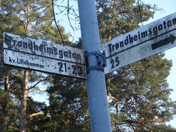 Bild nr 10